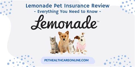 lemonade pet insurance texas.